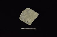 陶片藏品圖，第2張